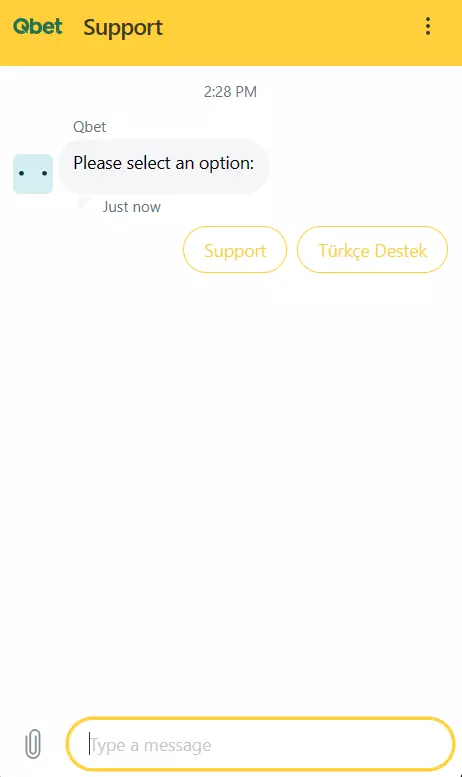 Live Chat Option for solving issues